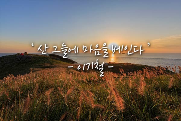 손그늘 이미지