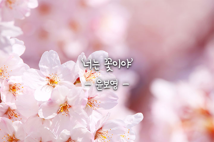 너는;꽃 이미지