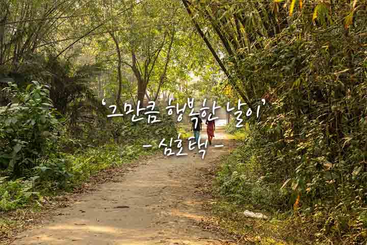 행복한날 이미지